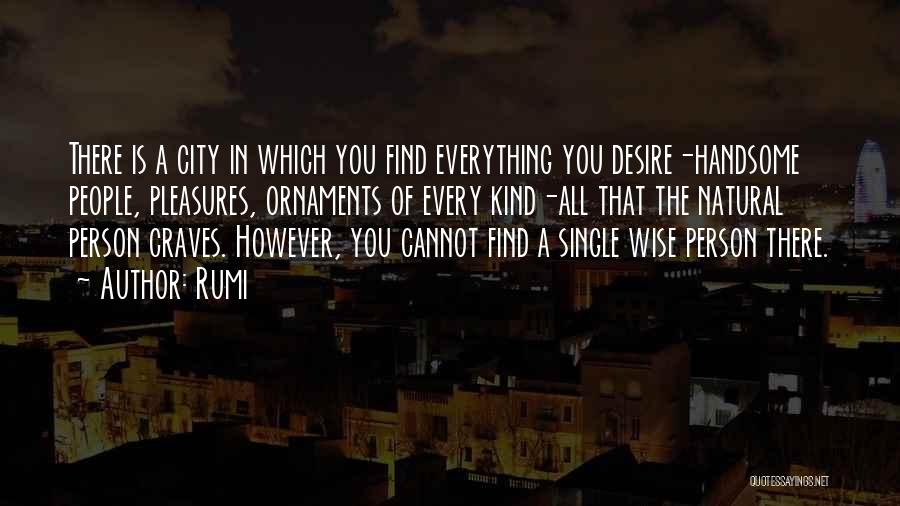 Rumi Quotes: There Is A City In Which You Find Everything You Desire-handsome People, Pleasures, Ornaments Of Every Kind-all That The Natural