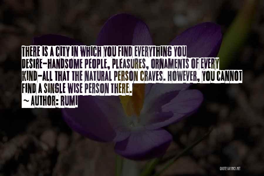 Rumi Quotes: There Is A City In Which You Find Everything You Desire-handsome People, Pleasures, Ornaments Of Every Kind-all That The Natural