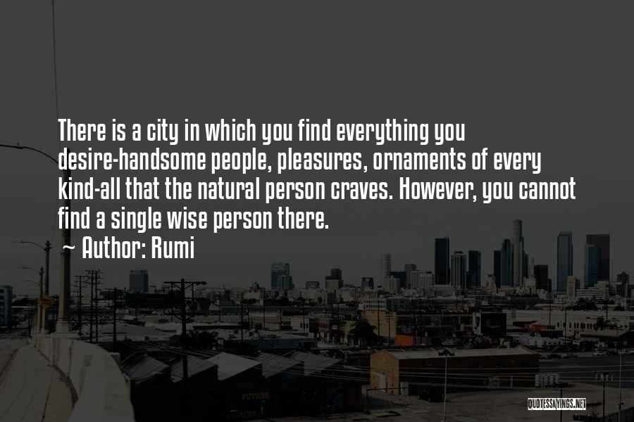 Rumi Quotes: There Is A City In Which You Find Everything You Desire-handsome People, Pleasures, Ornaments Of Every Kind-all That The Natural