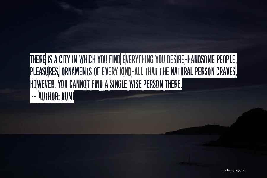 Rumi Quotes: There Is A City In Which You Find Everything You Desire-handsome People, Pleasures, Ornaments Of Every Kind-all That The Natural