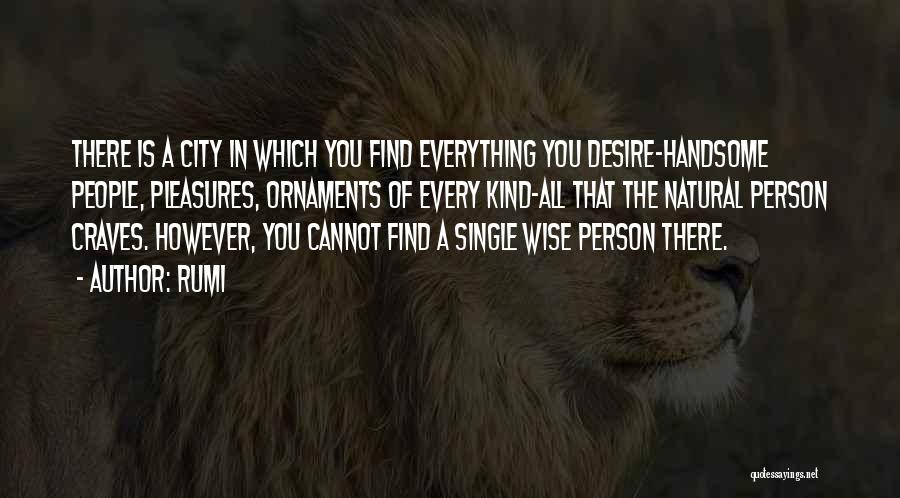Rumi Quotes: There Is A City In Which You Find Everything You Desire-handsome People, Pleasures, Ornaments Of Every Kind-all That The Natural