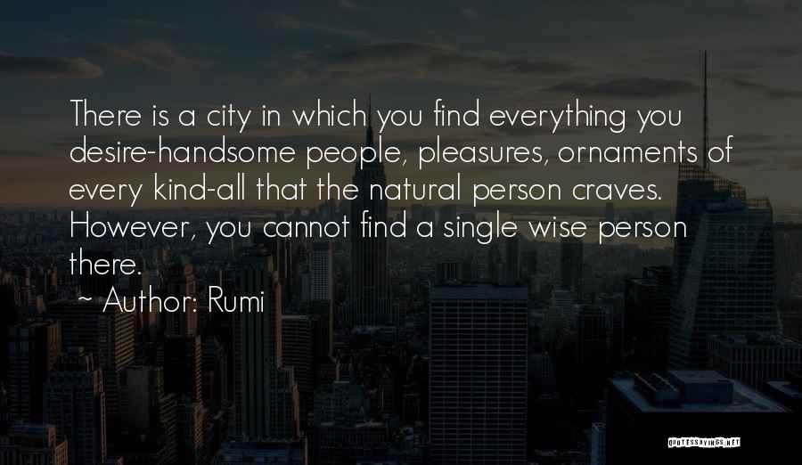 Rumi Quotes: There Is A City In Which You Find Everything You Desire-handsome People, Pleasures, Ornaments Of Every Kind-all That The Natural