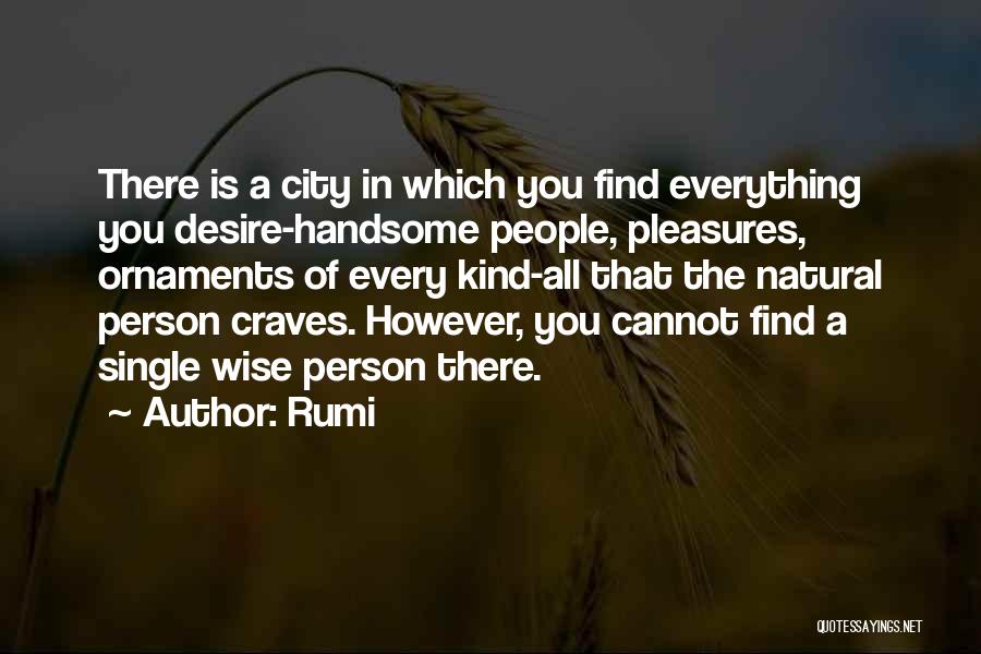 Rumi Quotes: There Is A City In Which You Find Everything You Desire-handsome People, Pleasures, Ornaments Of Every Kind-all That The Natural