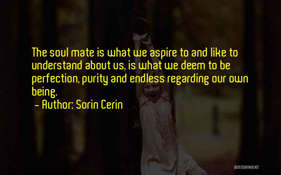 Sorin Cerin Quotes: The Soul Mate Is What We Aspire To And Like To Understand About Us, Is What We Deem To Be