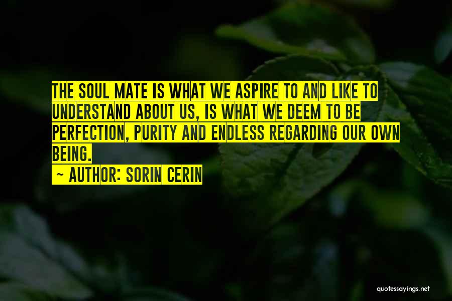 Sorin Cerin Quotes: The Soul Mate Is What We Aspire To And Like To Understand About Us, Is What We Deem To Be