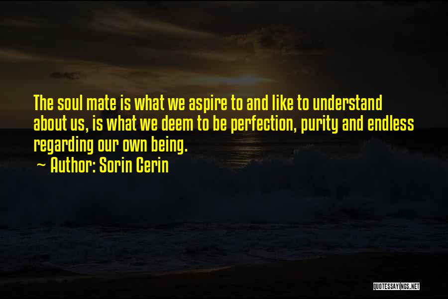 Sorin Cerin Quotes: The Soul Mate Is What We Aspire To And Like To Understand About Us, Is What We Deem To Be