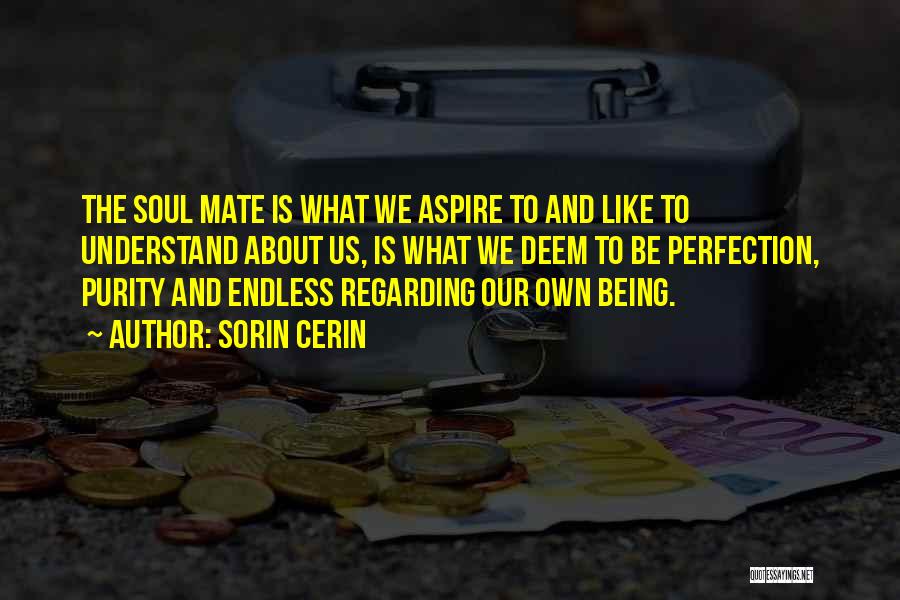 Sorin Cerin Quotes: The Soul Mate Is What We Aspire To And Like To Understand About Us, Is What We Deem To Be