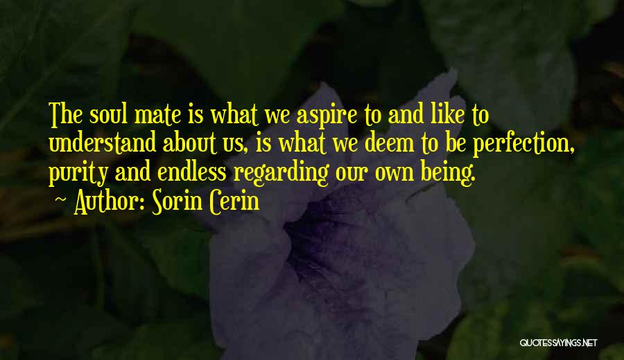 Sorin Cerin Quotes: The Soul Mate Is What We Aspire To And Like To Understand About Us, Is What We Deem To Be