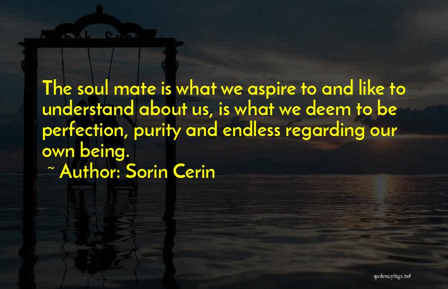 Sorin Cerin Quotes: The Soul Mate Is What We Aspire To And Like To Understand About Us, Is What We Deem To Be