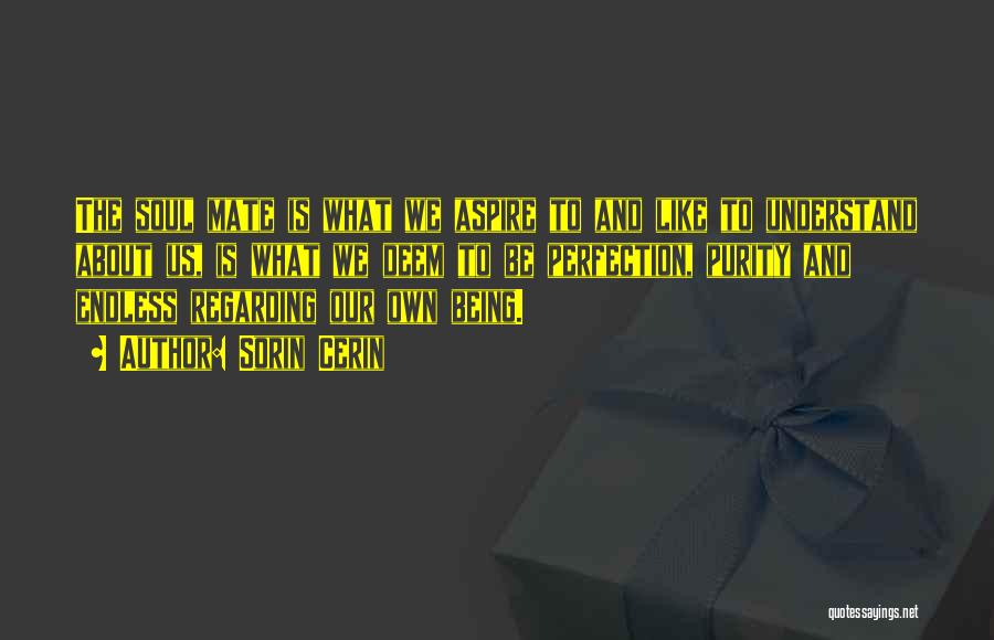 Sorin Cerin Quotes: The Soul Mate Is What We Aspire To And Like To Understand About Us, Is What We Deem To Be