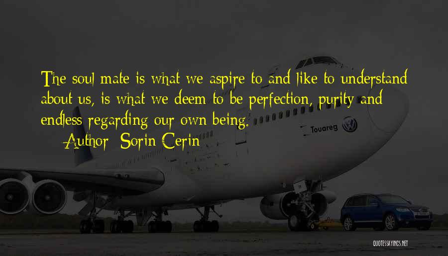 Sorin Cerin Quotes: The Soul Mate Is What We Aspire To And Like To Understand About Us, Is What We Deem To Be