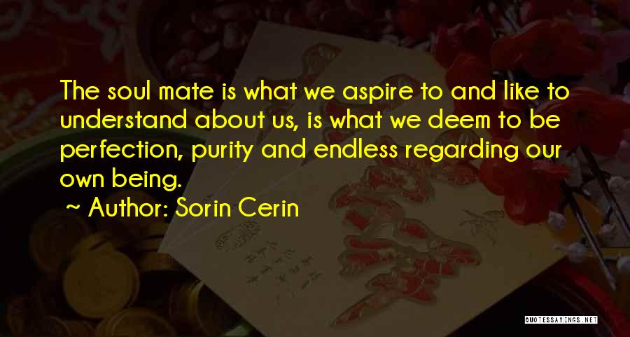 Sorin Cerin Quotes: The Soul Mate Is What We Aspire To And Like To Understand About Us, Is What We Deem To Be