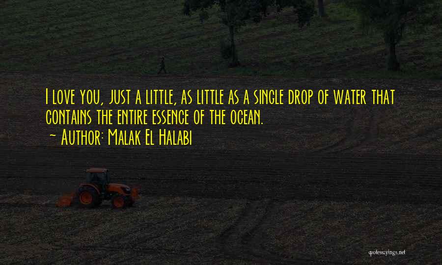 Malak El Halabi Quotes: I Love You, Just A Little, As Little As A Single Drop Of Water That Contains The Entire Essence Of