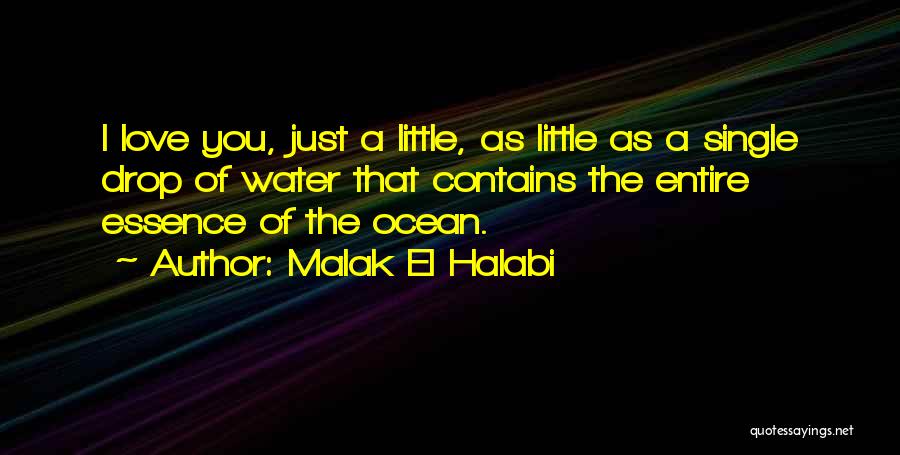 Malak El Halabi Quotes: I Love You, Just A Little, As Little As A Single Drop Of Water That Contains The Entire Essence Of