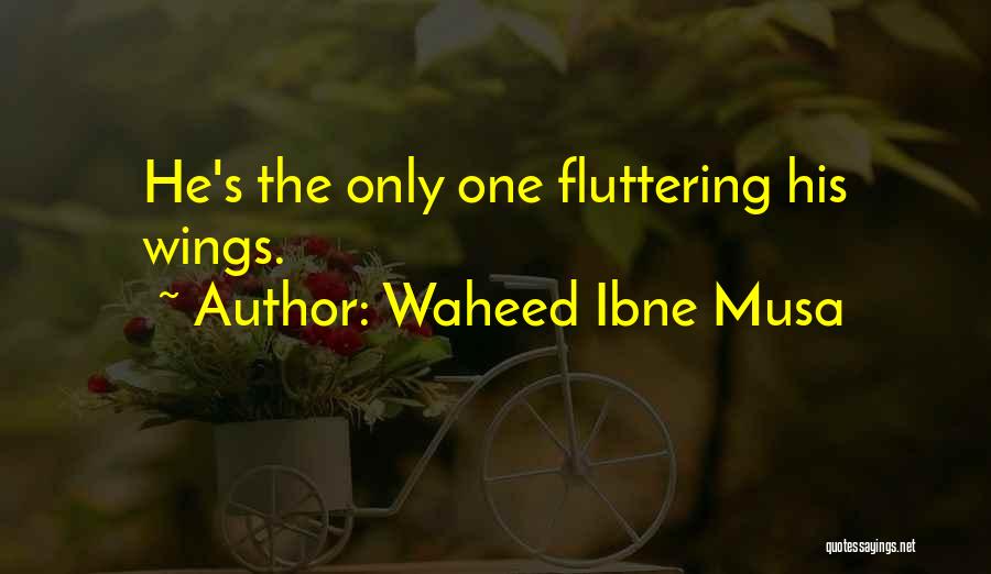 Waheed Ibne Musa Quotes: He's The Only One Fluttering His Wings.