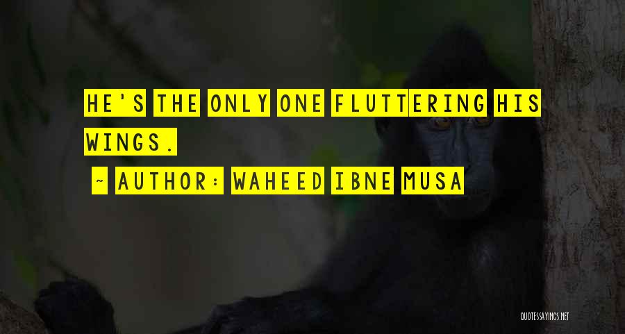 Waheed Ibne Musa Quotes: He's The Only One Fluttering His Wings.