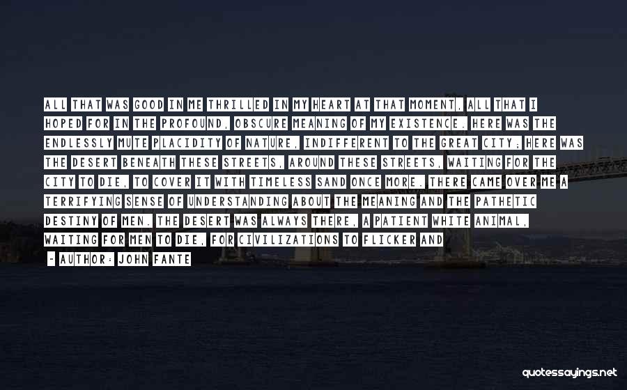 John Fante Quotes: All That Was Good In Me Thrilled In My Heart At That Moment, All That I Hoped For In The