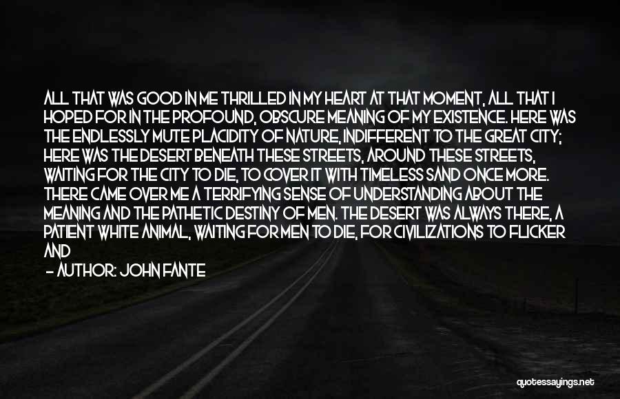 John Fante Quotes: All That Was Good In Me Thrilled In My Heart At That Moment, All That I Hoped For In The