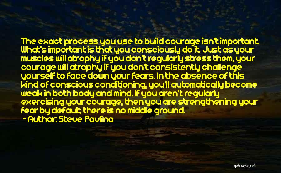 Steve Pavlina Quotes: The Exact Process You Use To Build Courage Isn't Important. What's Important Is That You Consciously Do It. Just As