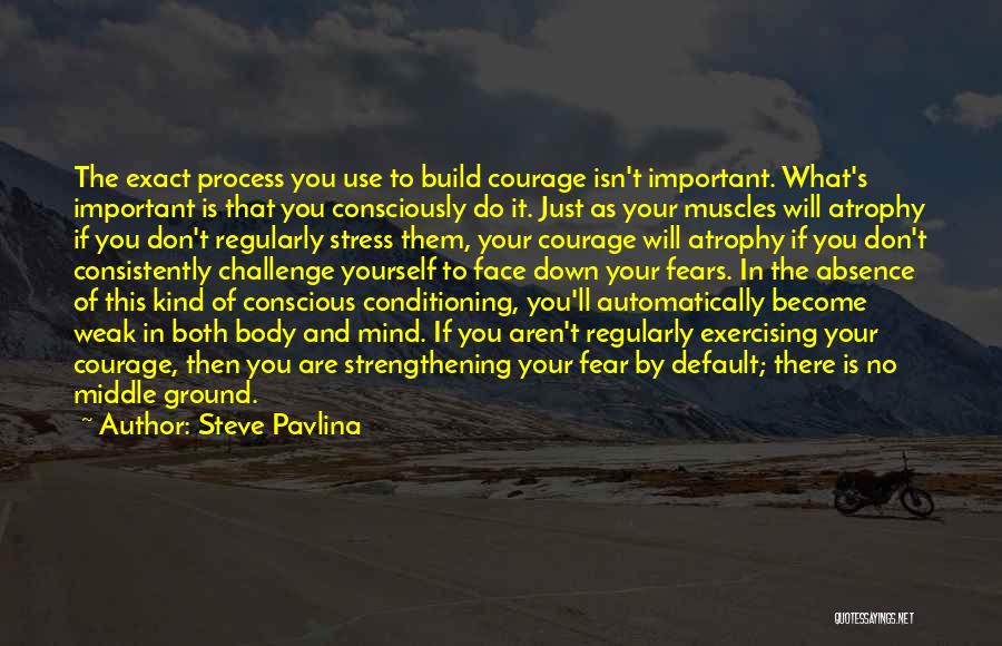 Steve Pavlina Quotes: The Exact Process You Use To Build Courage Isn't Important. What's Important Is That You Consciously Do It. Just As