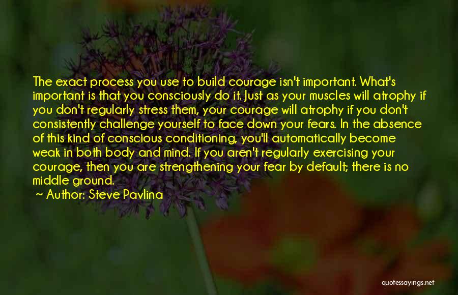 Steve Pavlina Quotes: The Exact Process You Use To Build Courage Isn't Important. What's Important Is That You Consciously Do It. Just As