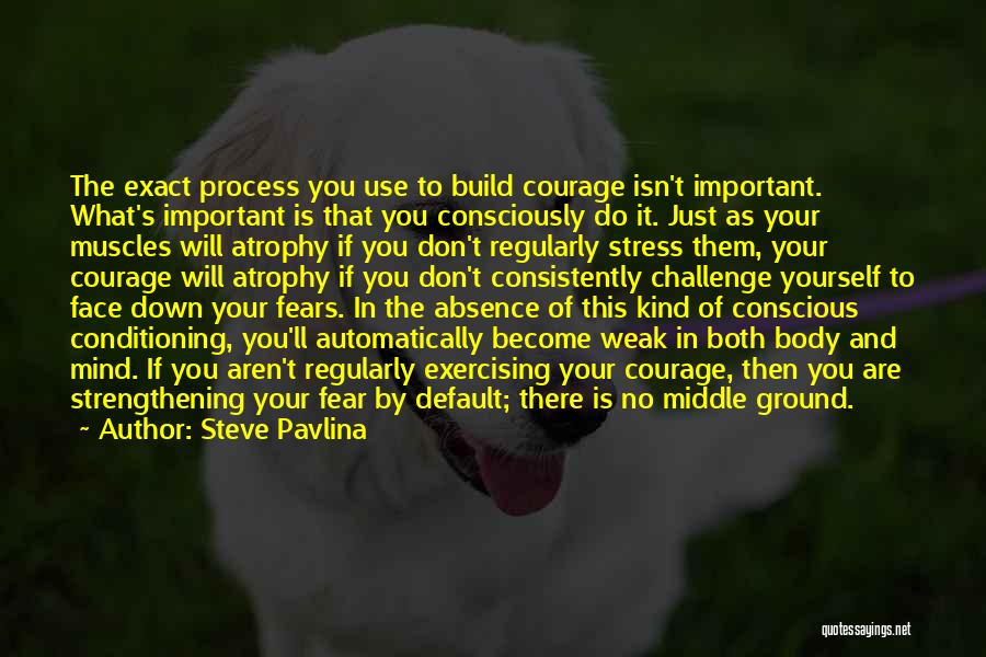 Steve Pavlina Quotes: The Exact Process You Use To Build Courage Isn't Important. What's Important Is That You Consciously Do It. Just As