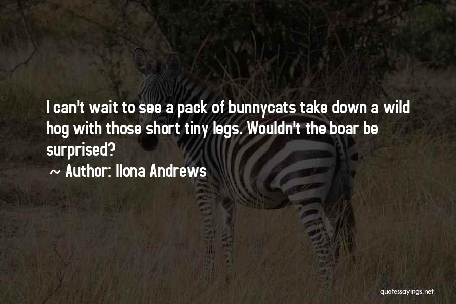 Ilona Andrews Quotes: I Can't Wait To See A Pack Of Bunnycats Take Down A Wild Hog With Those Short Tiny Legs. Wouldn't