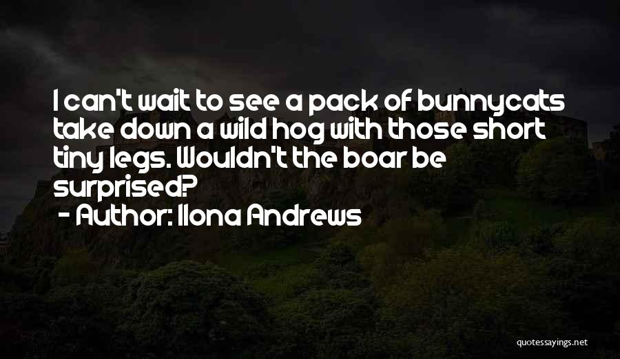 Ilona Andrews Quotes: I Can't Wait To See A Pack Of Bunnycats Take Down A Wild Hog With Those Short Tiny Legs. Wouldn't