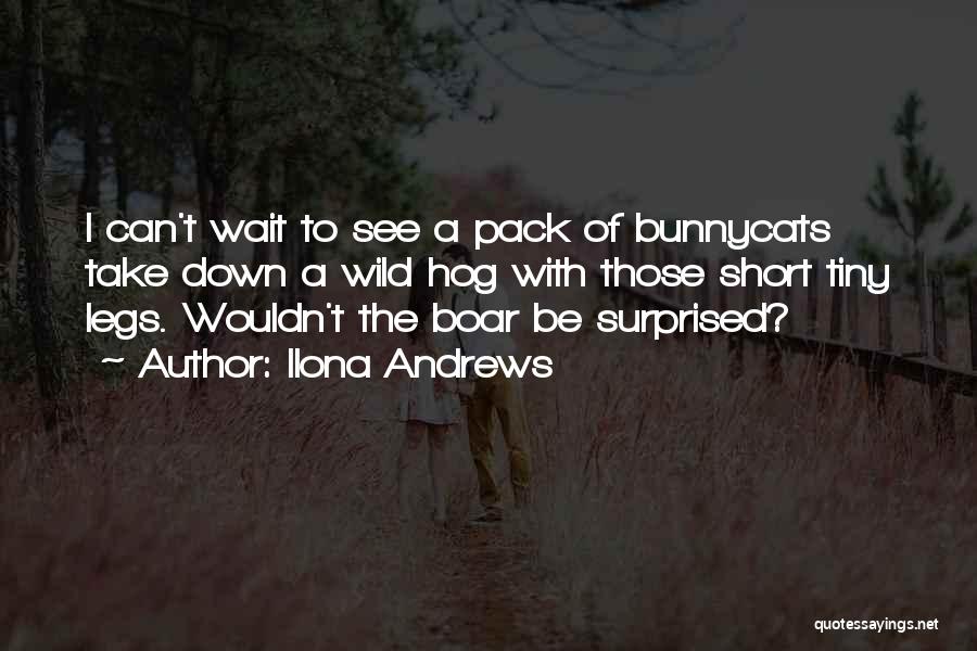 Ilona Andrews Quotes: I Can't Wait To See A Pack Of Bunnycats Take Down A Wild Hog With Those Short Tiny Legs. Wouldn't