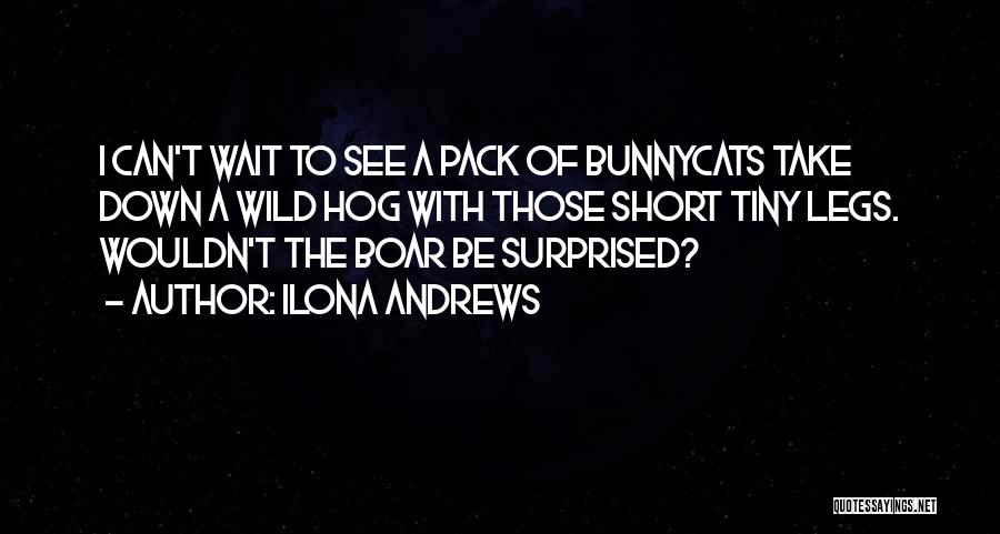 Ilona Andrews Quotes: I Can't Wait To See A Pack Of Bunnycats Take Down A Wild Hog With Those Short Tiny Legs. Wouldn't