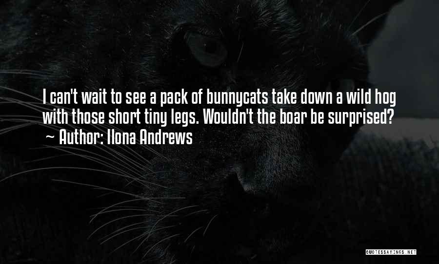 Ilona Andrews Quotes: I Can't Wait To See A Pack Of Bunnycats Take Down A Wild Hog With Those Short Tiny Legs. Wouldn't