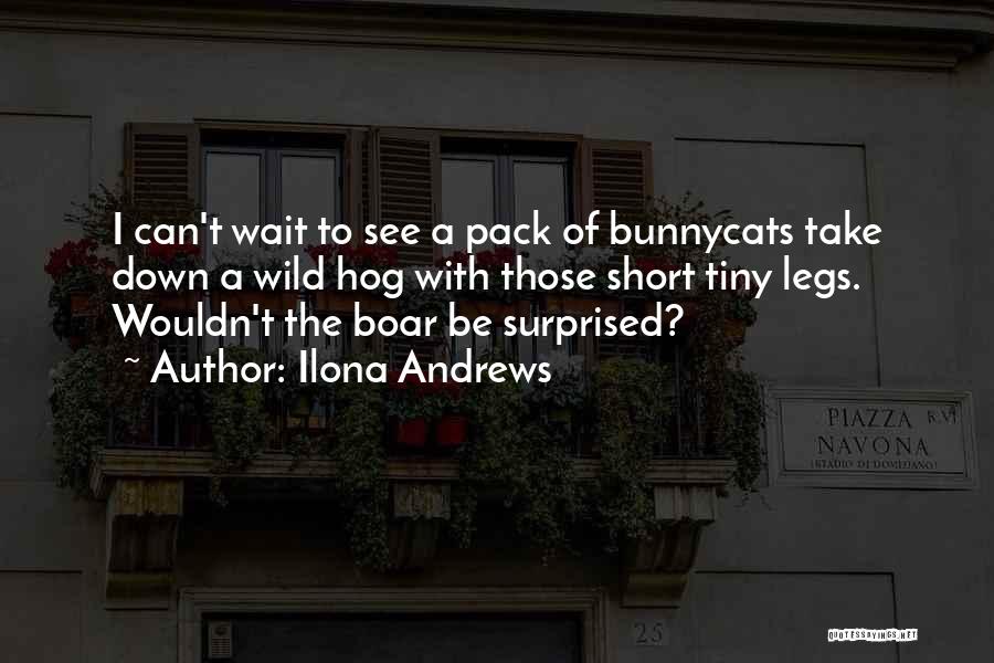 Ilona Andrews Quotes: I Can't Wait To See A Pack Of Bunnycats Take Down A Wild Hog With Those Short Tiny Legs. Wouldn't