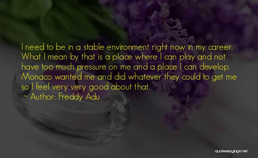 Freddy Adu Quotes: I Need To Be In A Stable Environment Right Now In My Career. What I Mean By That Is A