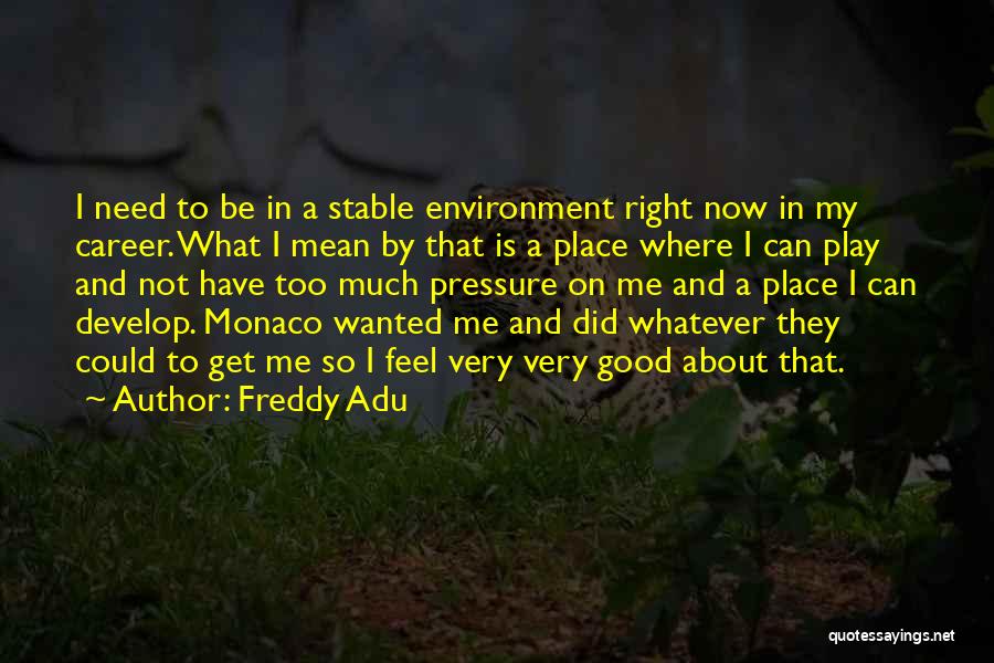 Freddy Adu Quotes: I Need To Be In A Stable Environment Right Now In My Career. What I Mean By That Is A