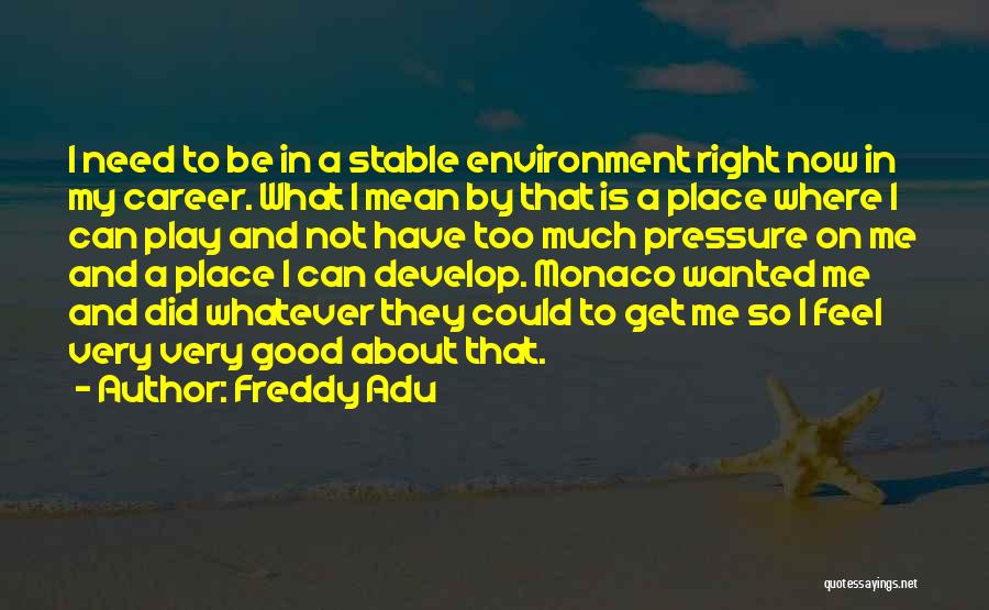 Freddy Adu Quotes: I Need To Be In A Stable Environment Right Now In My Career. What I Mean By That Is A