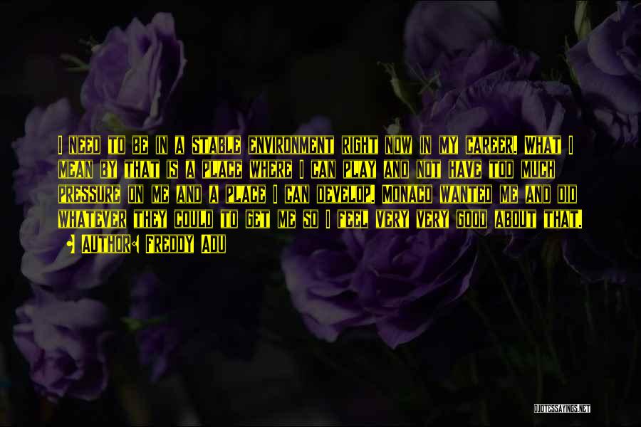 Freddy Adu Quotes: I Need To Be In A Stable Environment Right Now In My Career. What I Mean By That Is A