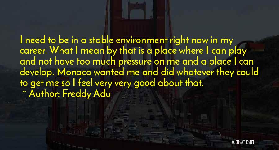 Freddy Adu Quotes: I Need To Be In A Stable Environment Right Now In My Career. What I Mean By That Is A