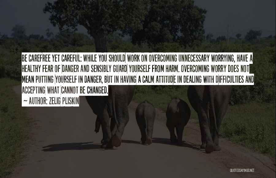 Zelig Pliskin Quotes: Be Carefree Yet Careful: While You Should Work On Overcoming Unnecessary Worrying, Have A Healthy Fear Of Danger And Sensibly