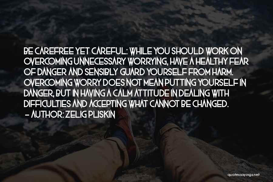 Zelig Pliskin Quotes: Be Carefree Yet Careful: While You Should Work On Overcoming Unnecessary Worrying, Have A Healthy Fear Of Danger And Sensibly