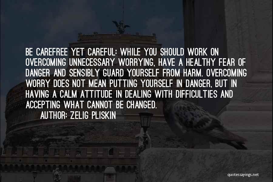 Zelig Pliskin Quotes: Be Carefree Yet Careful: While You Should Work On Overcoming Unnecessary Worrying, Have A Healthy Fear Of Danger And Sensibly