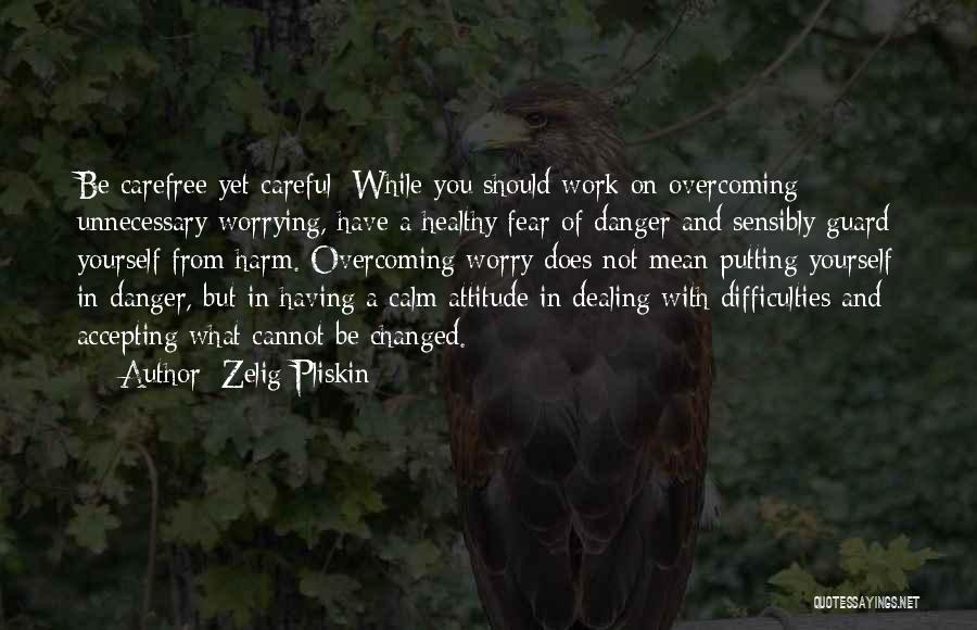 Zelig Pliskin Quotes: Be Carefree Yet Careful: While You Should Work On Overcoming Unnecessary Worrying, Have A Healthy Fear Of Danger And Sensibly