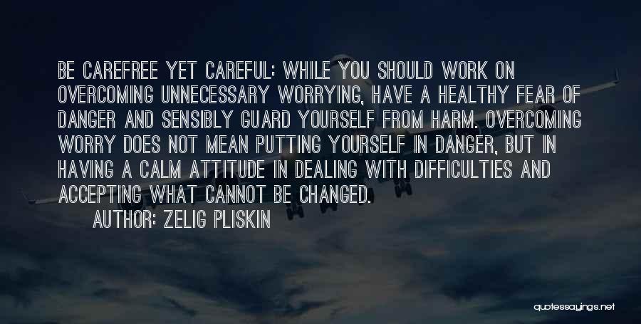 Zelig Pliskin Quotes: Be Carefree Yet Careful: While You Should Work On Overcoming Unnecessary Worrying, Have A Healthy Fear Of Danger And Sensibly