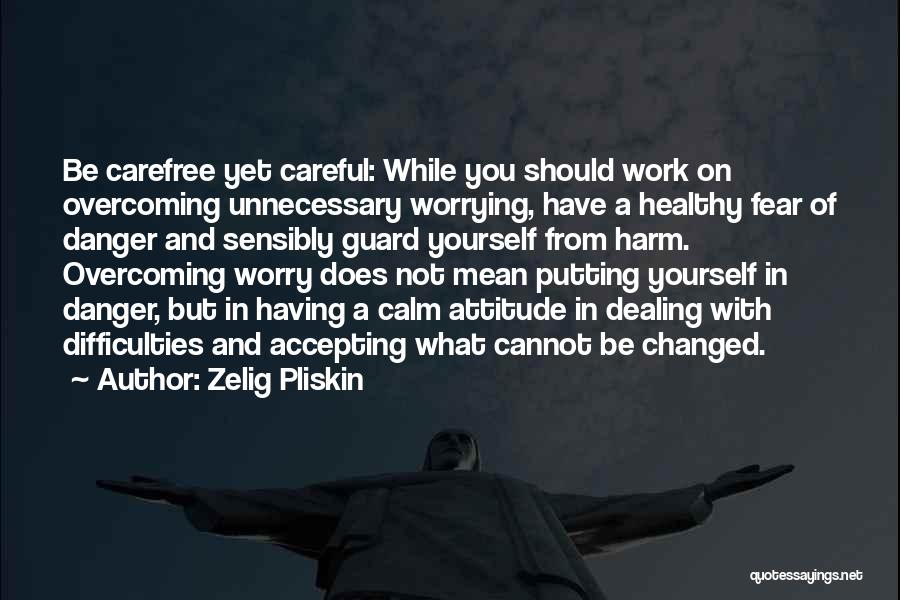 Zelig Pliskin Quotes: Be Carefree Yet Careful: While You Should Work On Overcoming Unnecessary Worrying, Have A Healthy Fear Of Danger And Sensibly