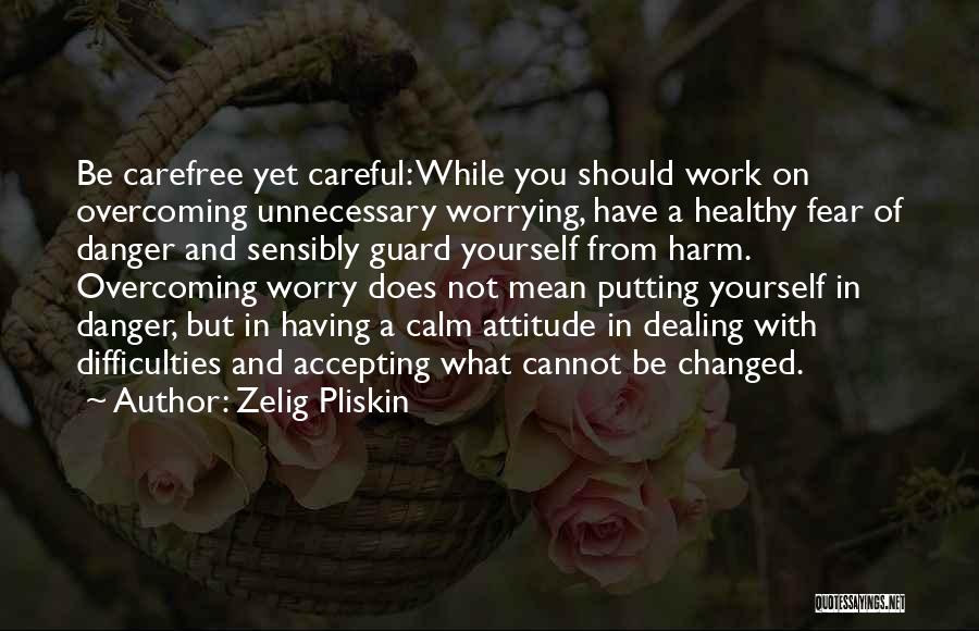 Zelig Pliskin Quotes: Be Carefree Yet Careful: While You Should Work On Overcoming Unnecessary Worrying, Have A Healthy Fear Of Danger And Sensibly