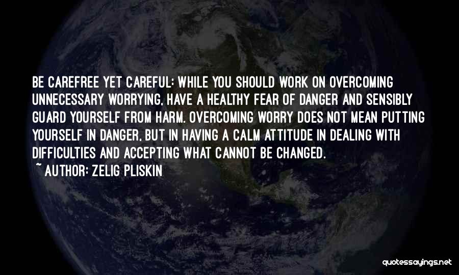 Zelig Pliskin Quotes: Be Carefree Yet Careful: While You Should Work On Overcoming Unnecessary Worrying, Have A Healthy Fear Of Danger And Sensibly