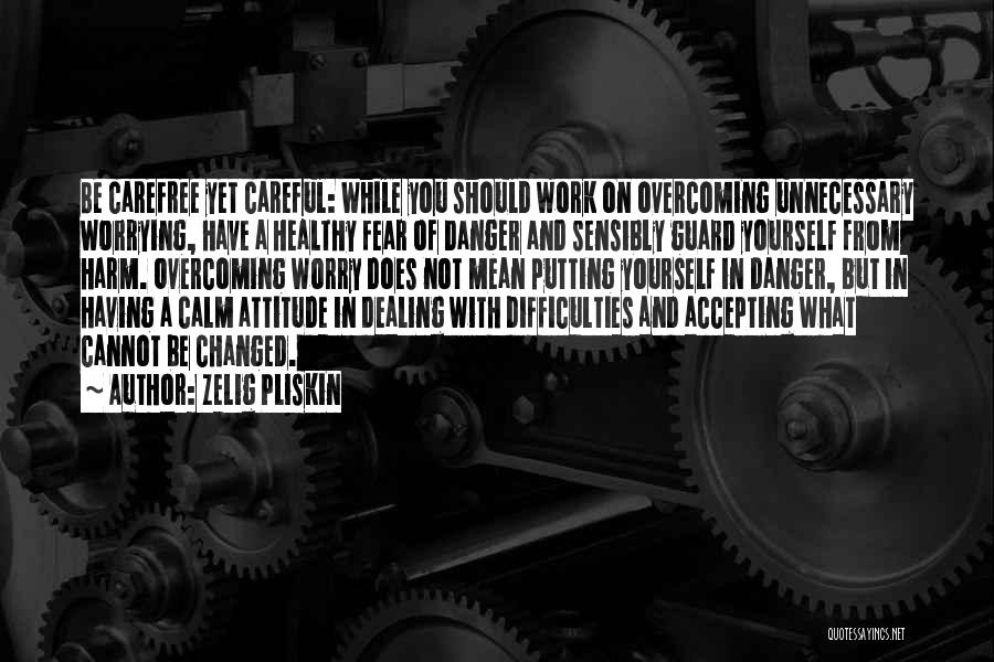 Zelig Pliskin Quotes: Be Carefree Yet Careful: While You Should Work On Overcoming Unnecessary Worrying, Have A Healthy Fear Of Danger And Sensibly