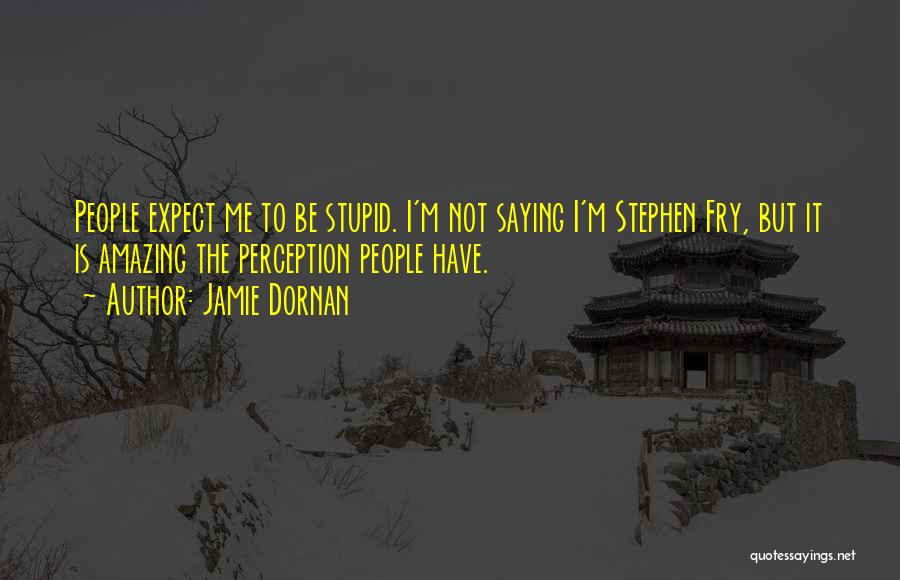 Jamie Dornan Quotes: People Expect Me To Be Stupid. I'm Not Saying I'm Stephen Fry, But It Is Amazing The Perception People Have.