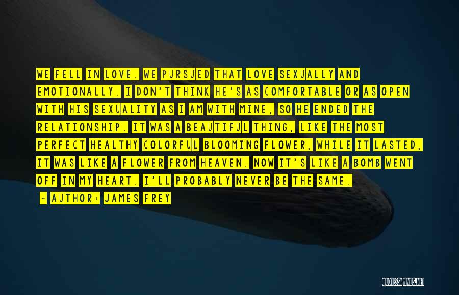James Frey Quotes: We Fell In Love. We Pursued That Love Sexually And Emotionally. I Don't Think He's As Comfortable Or As Open