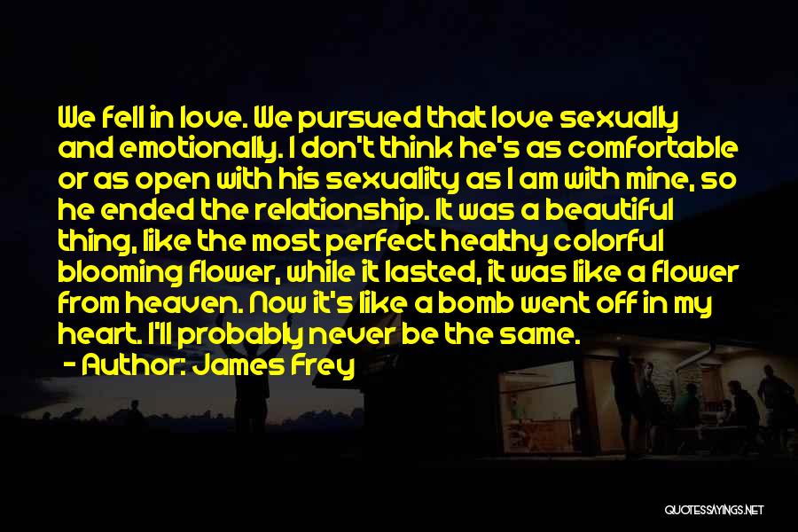 James Frey Quotes: We Fell In Love. We Pursued That Love Sexually And Emotionally. I Don't Think He's As Comfortable Or As Open