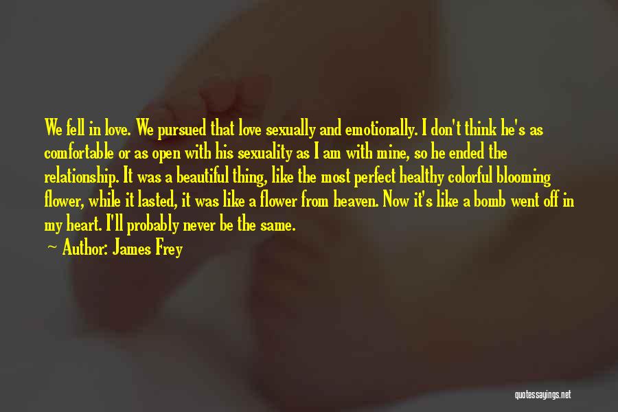 James Frey Quotes: We Fell In Love. We Pursued That Love Sexually And Emotionally. I Don't Think He's As Comfortable Or As Open